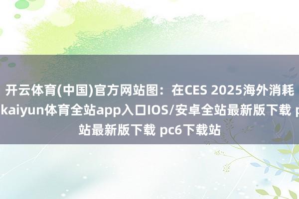 开云体育(中国)官方网站图：在CES 2025海外消耗电子展上-kaiyun体育全站app入口IOS/安卓全站最新版下载 pc6下载站