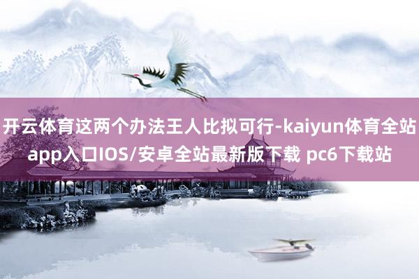 开云体育这两个办法王人比拟可行-kaiyun体育全站app入口IOS/安卓全站最新版下载 pc6下载站