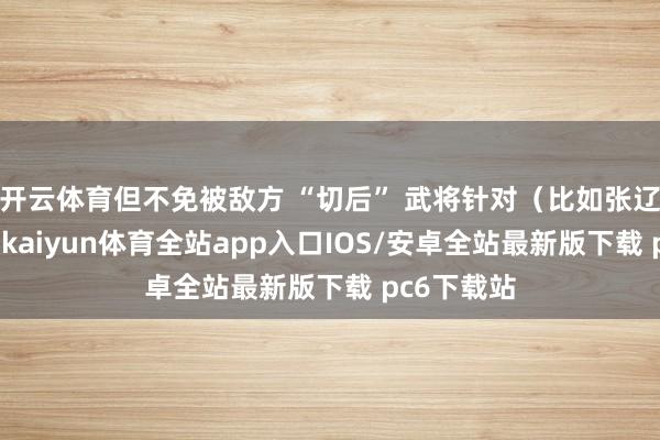 开云体育但不免被敌方 “切后” 武将针对（比如张辽、赵云）-kaiyun体育全站app入口IOS/安卓全站最新版下载 pc6下载站