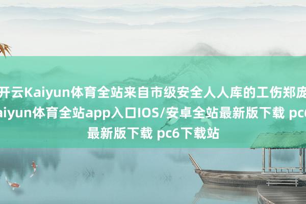 开云Kaiyun体育全站来自市级安全人人库的工伤郑庞杂家-kaiyun体育全站app入口IOS/安卓全站最新版下载 pc6下载站