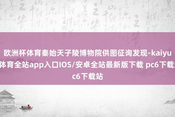 欧洲杯体育秦始天子陵博物院供图征询发现-kaiyun体育全站app入口IOS/安卓全站最新版下载 pc6下载站