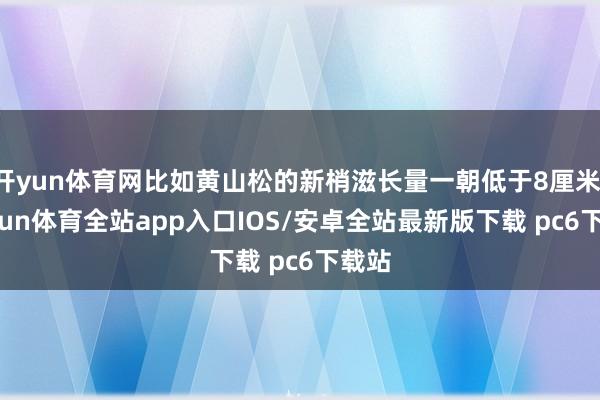 开yun体育网比如黄山松的新梢滋长量一朝低于8厘米-kaiyun体育全站app入口IOS/安卓全站最新版下载 pc6下载站