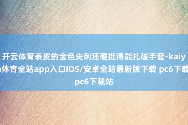 开云体育表皮的金色尖刺还硬挺得能扎破手套-kaiyun体育全站app入口IOS/安卓全站最新版下载 pc6下载站